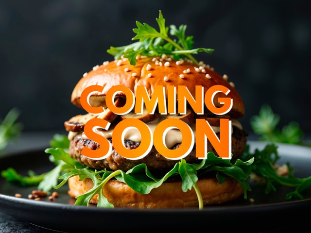 Burger Festival - Ticino