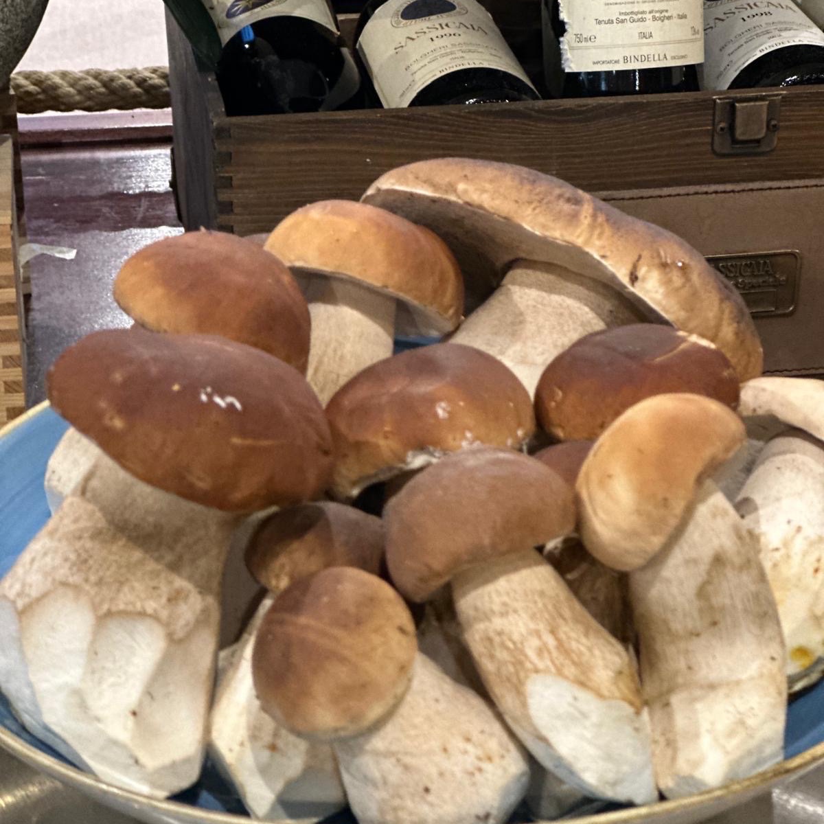 rassegna dei funghi porcini